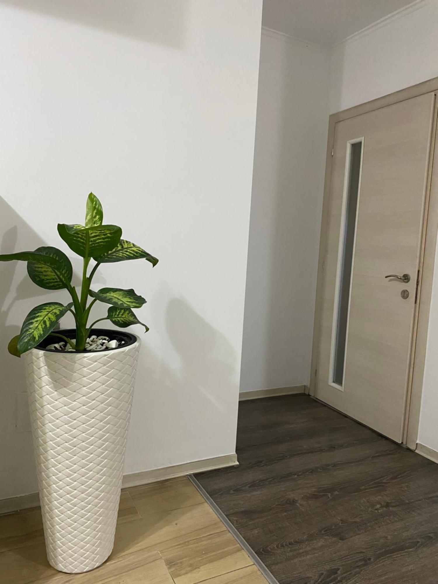 Main Apartment Tirana Exterior photo